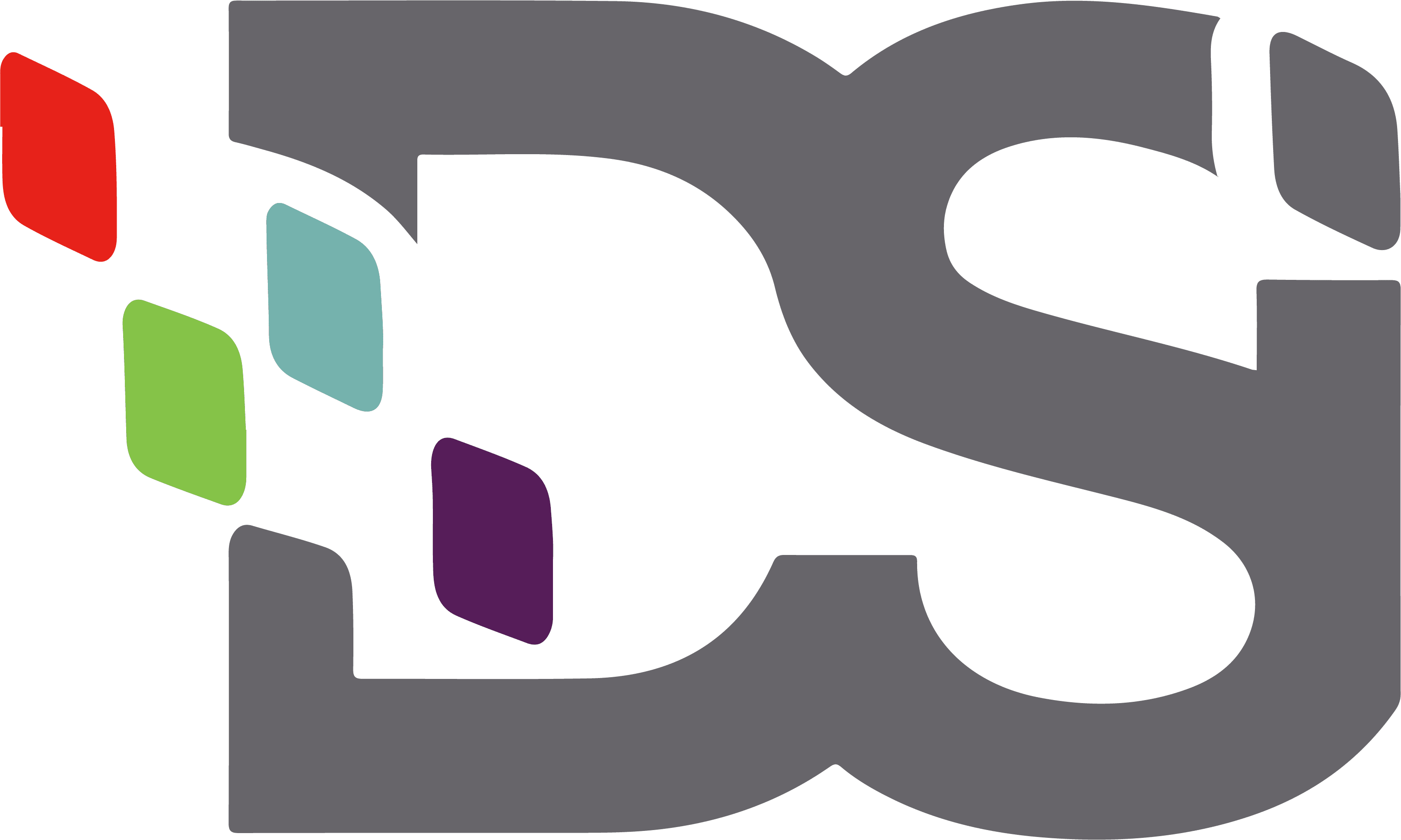 dsi logo